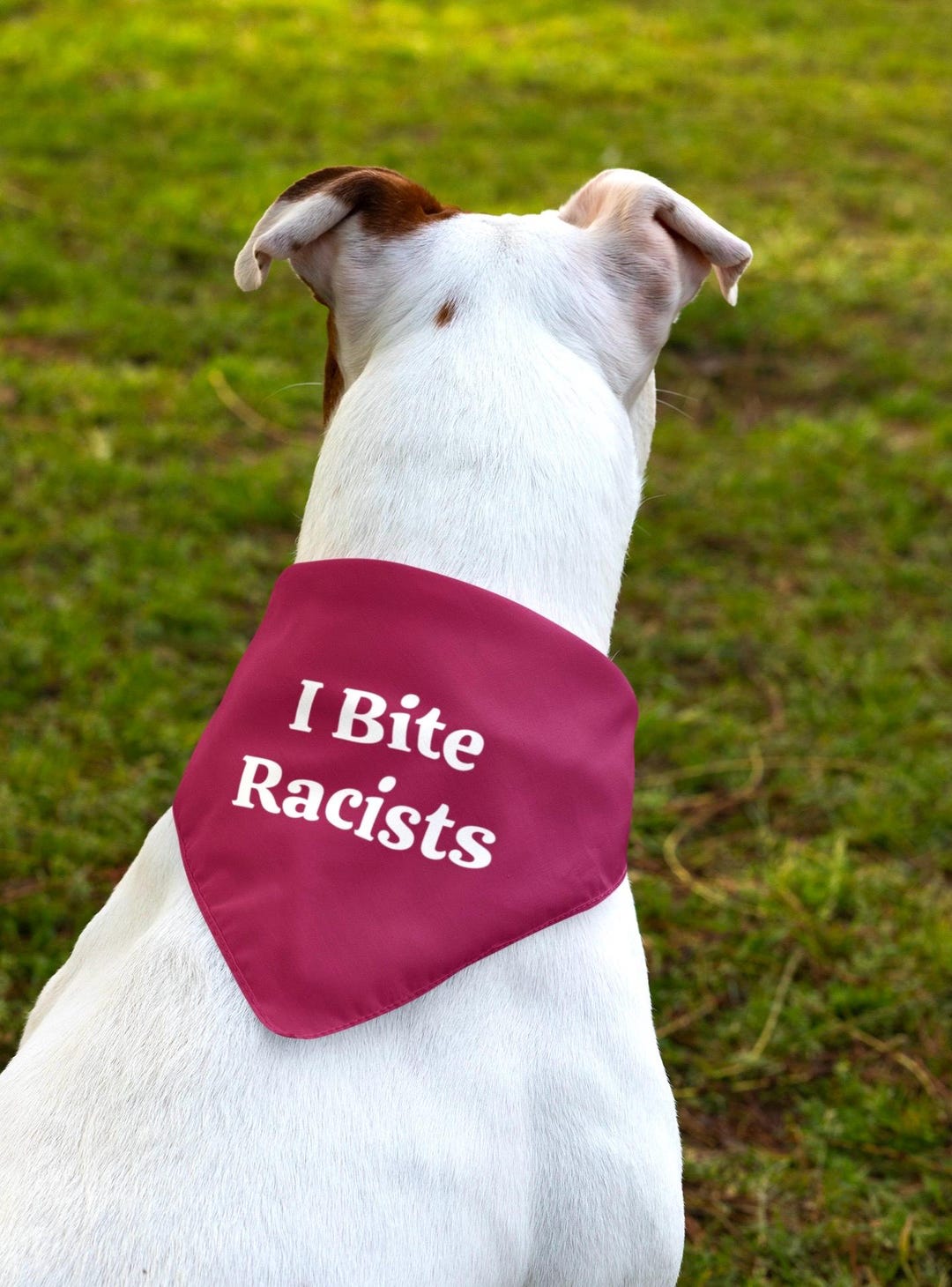 Dog Bandana Collar , I Bite Racists Pet Bandana Collar, Anti-racism Pet ...