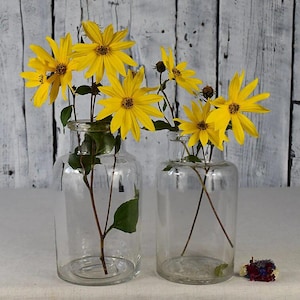 Ensemble de pots en verre anciens / bouteille d&#39;apothicaire vintage / bocal de rangement en verre transparent / vieux bidon en verre / navire Wabi Sabi / décor de ferme rustique