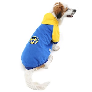 Blue Dog Hoodie: Windproof Small Breed Apparel