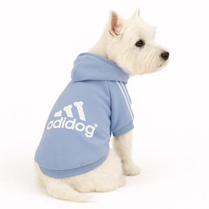 Blue Sport Dog Hoodie: Comfortable Small Breed Apparel