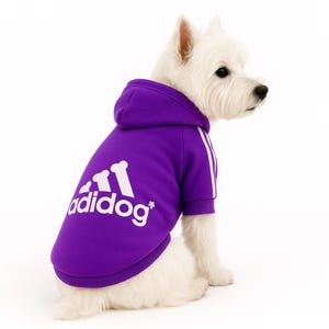 Purple Sport Dog Hoodie: Windproof Small Breed Apparel