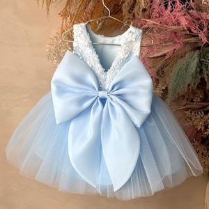 dusty blue infant dress Baby Girl Embroidery Floral Dress in Dusty Blue 12/18mos Bodysuit/Dress