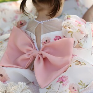 Tutu Flower Girl Princess Look With Butterflies, Prom Pageant Toddler Special Occasion Dance Gown, 12 Dancing Princesses, Summer Girls Dress