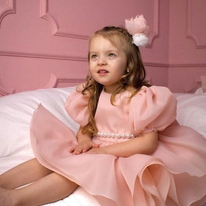 Peach Tutu Puffy Flower Girl Dress, First Baby Birthday Party Dress, Princess Pageant Prom Toddler Special Occasion Gown