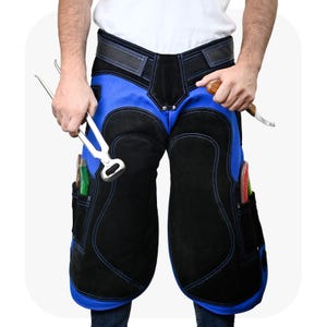 May include: Blue and black farrier chaps with pockets and blue stitching. The chaps are worn by a person holding farrier tools, including nippers and a hoof knife. The chaps have a black belt and are made of leather.