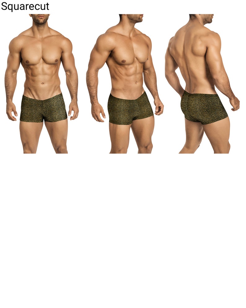 Leopard Mesh Erotic Underwear for Men by Vuthy Sim in Thong, Bikini, Brief, Squarecut 288 image 5
