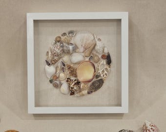Framed shell art Circle