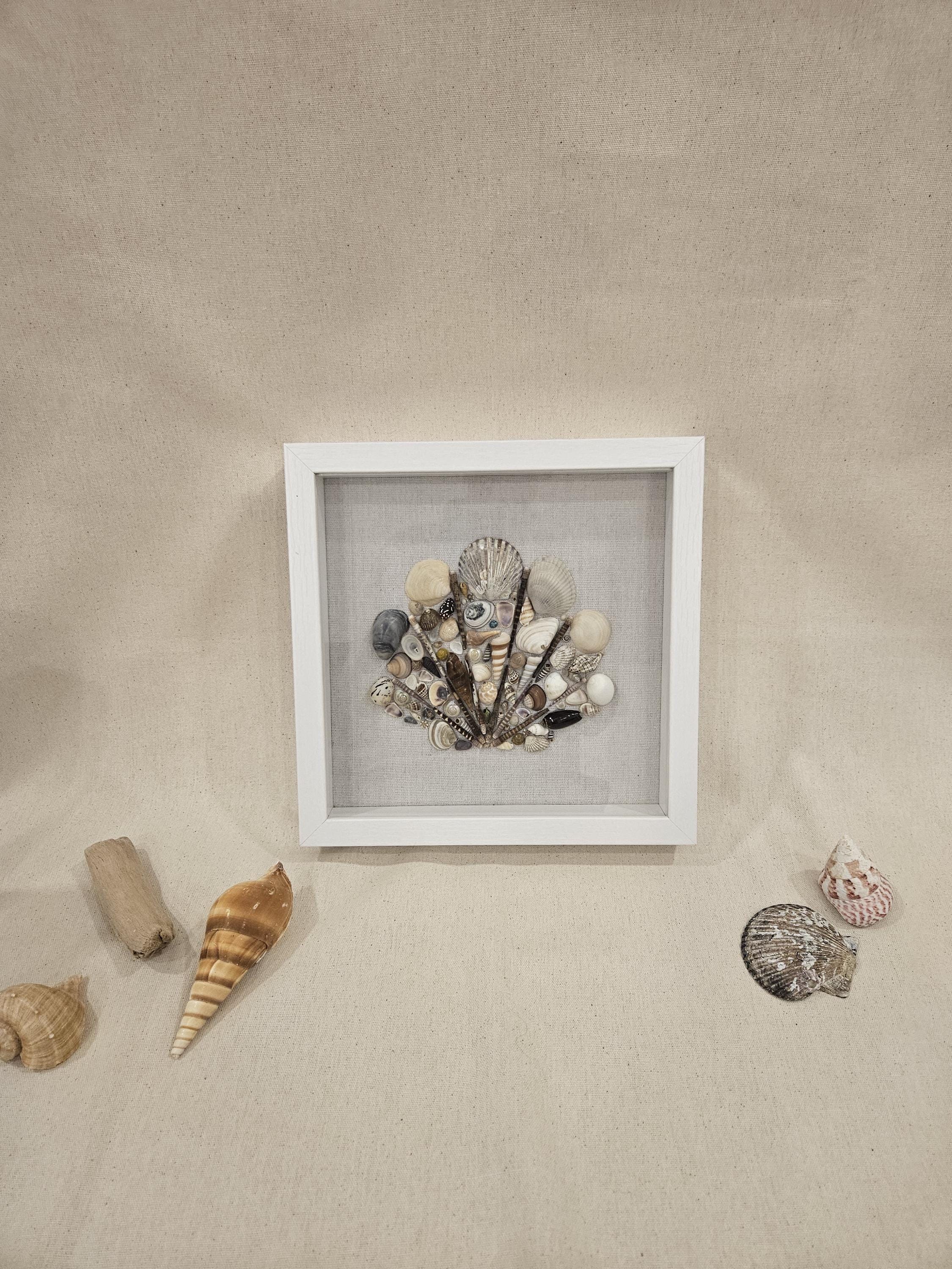 Framed Shell Collection Framed Shell Art Seashell - Etsy