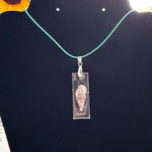 May include: A rectangular pendant necklace featuring a seashell encased in clear resin. The pendant hangs from a teal cord. The necklace is displayed on a black surface, with a sunflower and pink flower in the background.