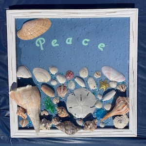 Può includere: Un'opera d'arte incorniciata con uno sfondo blu, con conchiglie e la parola "Peace" in verde chiaro. La cornice bianca circonda una varietà di conchiglie, un dollaro di sabbia e glitter.