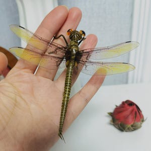 Handwoven Straw Dragonfly Figurine – Traditional Chinese Folk Art Insect Sculpture, Rustic Nature Decor, Cultural Gift