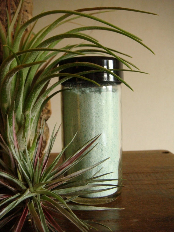Items similar to Air Plant Fertilizer on Etsy