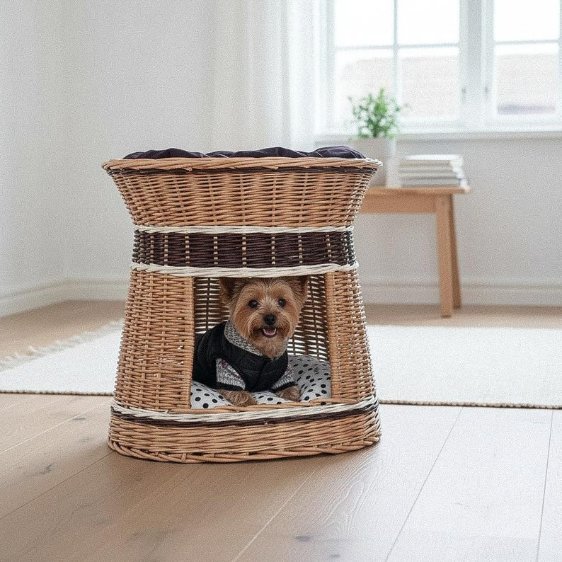 May include: A woven wicker pet bed with a dark brown trim and a dark cushion. A small dog wearing a black and gray jacket is inside the bed, resting on a polka dot cushion. The bed is on a hardwood floor.