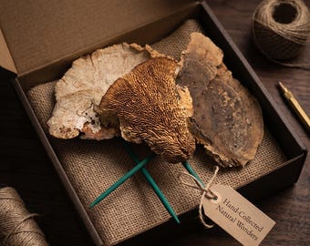 Funghi secchi: decorazioni naturali per il bosco, artigianato e arte con la resina