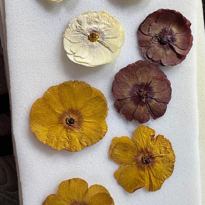Ranunculus Bouquet - Etsy