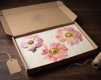 Pressed Peonies | Real Preserved Flower | Botanical Wall Art | Dried Flowers | Floral Decor / Peony