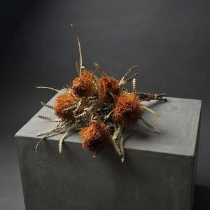 May include: A bouquet of dried orange flowers with spiky leaves and stems, resting on a gray concrete block. The flowers have a textured, spherical shape and are tied together with twine. The background is a dark gray.