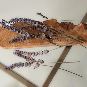 4-5 inch Pressed Lavender for Frames Dried Lavender for Resin Art Lavender In Home Decor