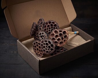 Dried Lotus Pods on Wood Picks: Natural Floral Arrangement