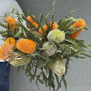3 Stems Large Dried Banksia Flower Natural Preserved Bloom Wedding Bouquets Dried Floral Arrangements, Rustic Decor, Boho Styling, Flowers