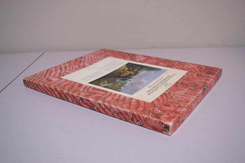 OPTIMAGO Wood Jigsaw Puzzle Decorative Fowl Round a Lake wDucks /& Ducklings