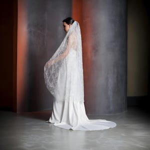 Könnte beinhalten: Ein weißer Braut Schleier mit zarten Spitzendetails, getragen von einer Person in einem weißen Kleid. Der Schleier ist über den Kopf und die Schultern der Person gelegt und erzeugt einen sanften und romantischen Look.