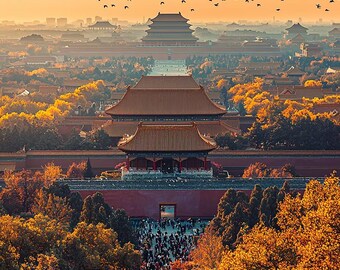 Série de vidéos sur la culture et l'histoire de la Chine : 100 épisodes (téléchargement numérique)