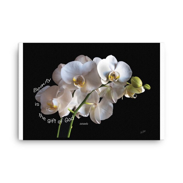 "Wandkunst Orchidee Leinwand Druck mit Aristoteles Zitat ""Beauty is the gift of God"" Inspirierte spirituelle Kunst." Dramatischer schwarzer Hintergrund Blumenkunst.