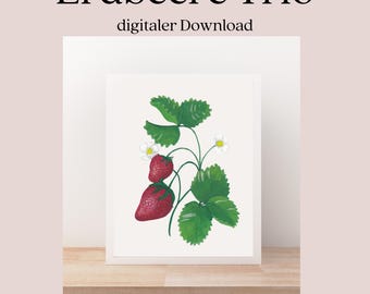 Fraise vintage peinte à la main téléchargement numérique clipart rose clair fond transparent image illustration décoration murale carte postale imprimez-vous