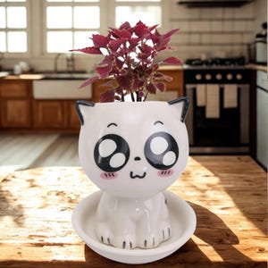Peut inclure: Pot de fleurs en céramique blanche en forme de chat avec de grands yeux et une expression mignonne. Le pot a une soucoupe et contient une petite plante rouge.