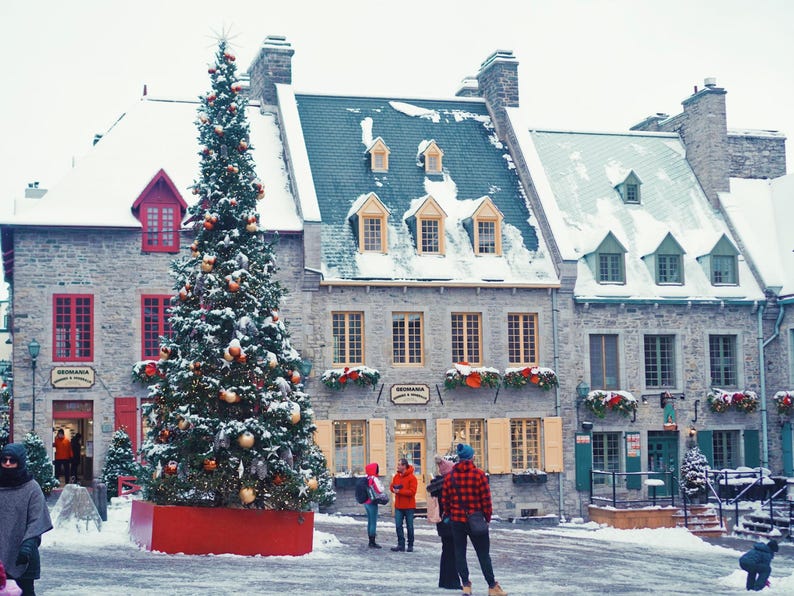 以下が含まれることがあります： 雪景色の中、石造りの建物の前に大きなクリスマスツリーが飾られています。建物には雪が積もった屋根と赤いアクセントがあります。雪が積もった広場を歩く人々。