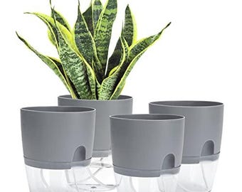 Självbevattnande hydroponisk blomkruka: Transparent plast, 15 cm