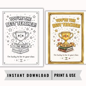 May include: Two framed prints with the text "YOU'RE THE BEST TEACHER!". One is black and white, the other is in colour. Both feature a trophy, books, stars, and the phrase "I'm lucky to be in your class."