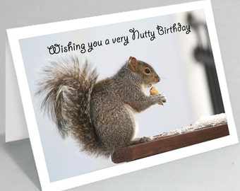 Funny Birthday card - Wishing you a very nutty birthday squirrel greeting card (Blank inside) - Buy any 2+ cards & save on shipping