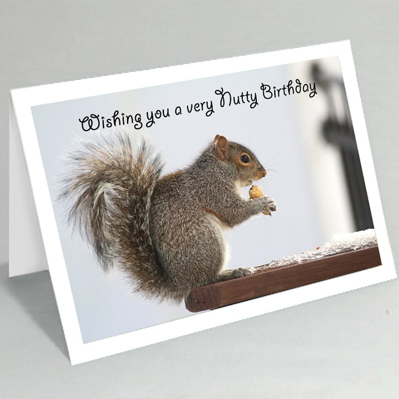 Funny Birthday Card Wishing You a Very Nutty Birthday Etsy