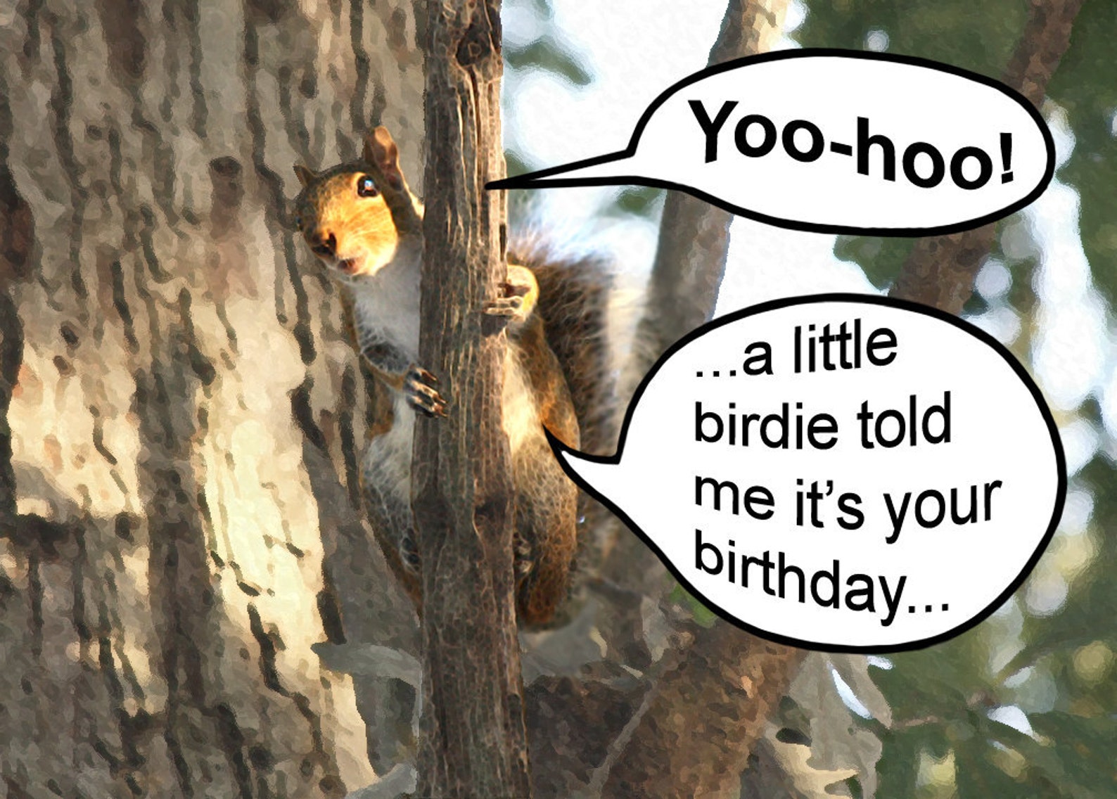 Happy Birthday Card Squirrel Funny Birthday Greeting Card Etsy