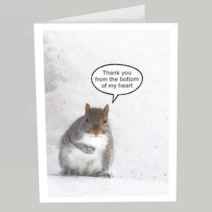 Thank you card / Thank you from the bottom of my heart - Squirrel greeting card (Blank inside) - Buy any 2+ cards & save on shipping