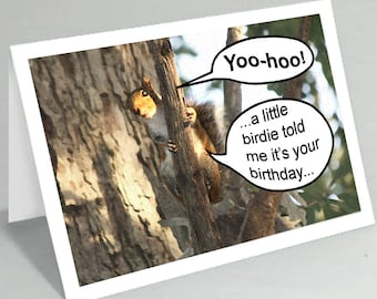 Squirrel funny birthday greeting card - Funny cute animal card - Cute squirrel card (Blank inside) - Buy any 2+ cards & save on shipping