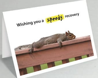 Get well card - Feel better card - Wishing you a speedy recovery squirrel greeting card (Blank inside) - Buy any 2+ cards & save on shipping