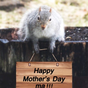 May include: A gray squirrel sits on a wooden surface holding a sign that reads "Happy Mother's Day ma!!!"