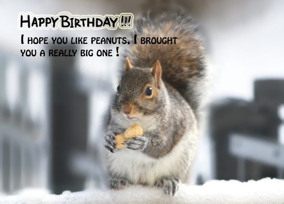 What Do You Meme?® Greeting Card - Birthday Card (Shocked Squirrel