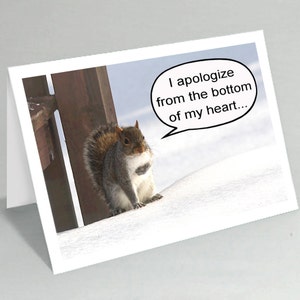 Apology card I apologize from the bottom of my heart Squirrel card Cute card Blank inside Buy any 2 cards & save on shipping image 1