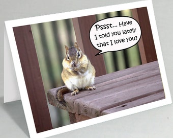 Love notes card - Psst... Have I told you lately that I love you - funny Chipmunk card (Blank inside) - Buy any 2+ cards & save on shipping