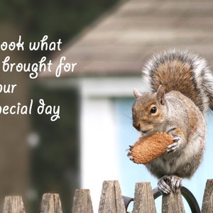 Happy Birthday card Father's Day Mother's Day card Squirrel with cookie card Blank inside Buy any 2 cards & save on shipping image 2
