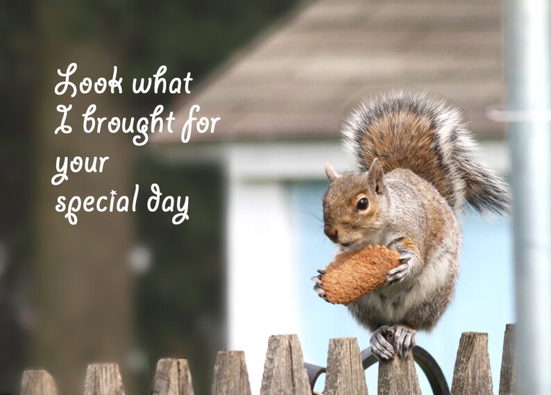 Happy Birthday card Father's Day Mother's Day card Squirrel with cookie card Blank inside Buy any 2 cards & save on shipping image 2