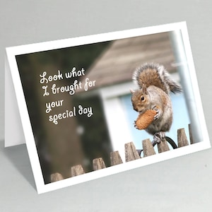 Happy Birthday card Father's Day Mother's Day card Squirrel with cookie card Blank inside Buy any 2 cards & save on shipping image 1