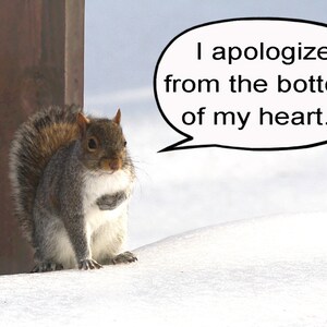 Apology card I apologize from the bottom of my heart Squirrel card Cute card Blank inside Buy any 2 cards & save on shipping image 2