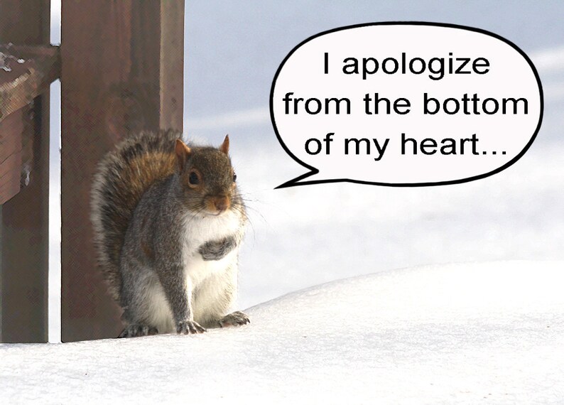 Apology card I apologize from the bottom of my heart Squirrel card Cute card Blank inside Buy any 2 cards & save on shipping image 2