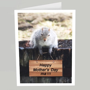 May include: A gray squirrel sits on a wooden log holding a sign that reads "Happy Mother's Day ma!!!"