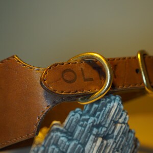 Leather Collar &quot;Vintage West&quot;